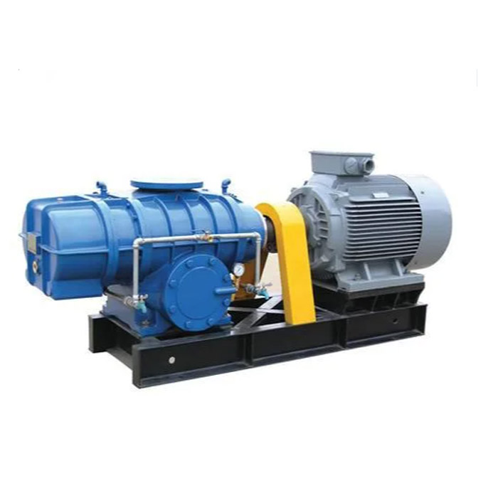 Gandeng langsung Air Rotary Blowers: Unleashing Efisiensi jeung Power