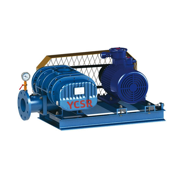 Roots Vacuum Pump